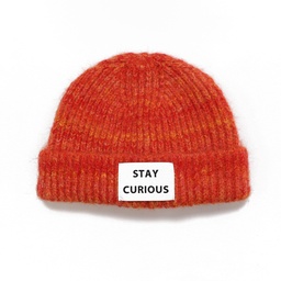 [HVTD-RPL-WL-004] HAT STAY CURIOUS